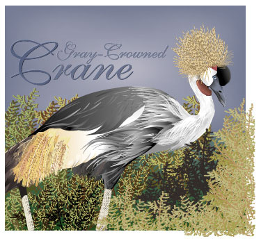 Gray-crowned crane
